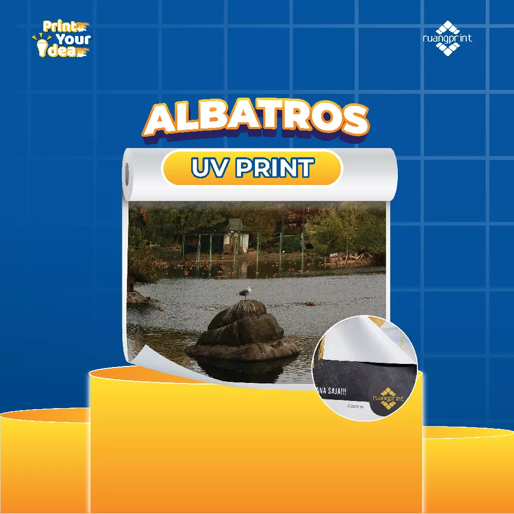 Sticker Albatros - UV PRINT