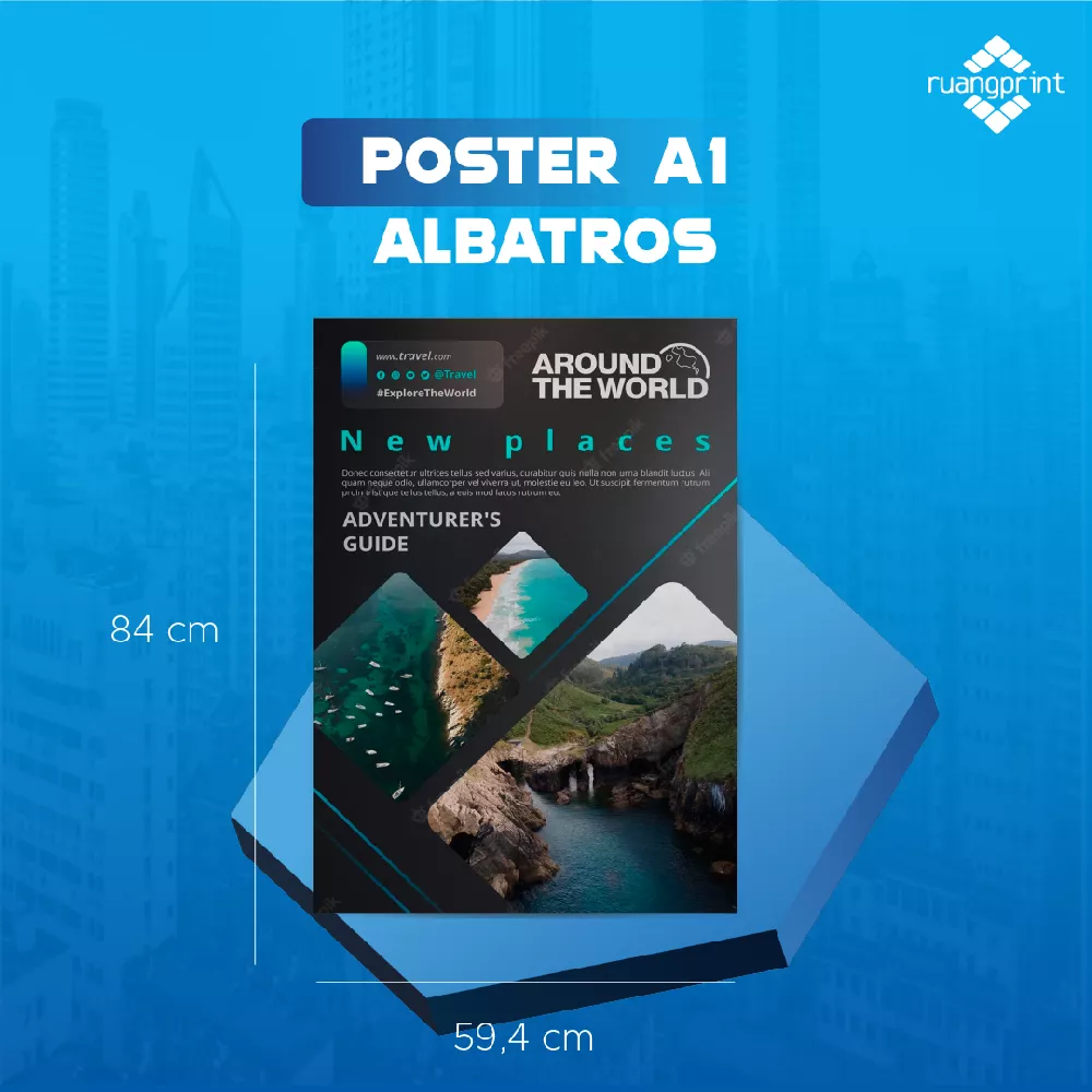 POSTER A1 Albatros