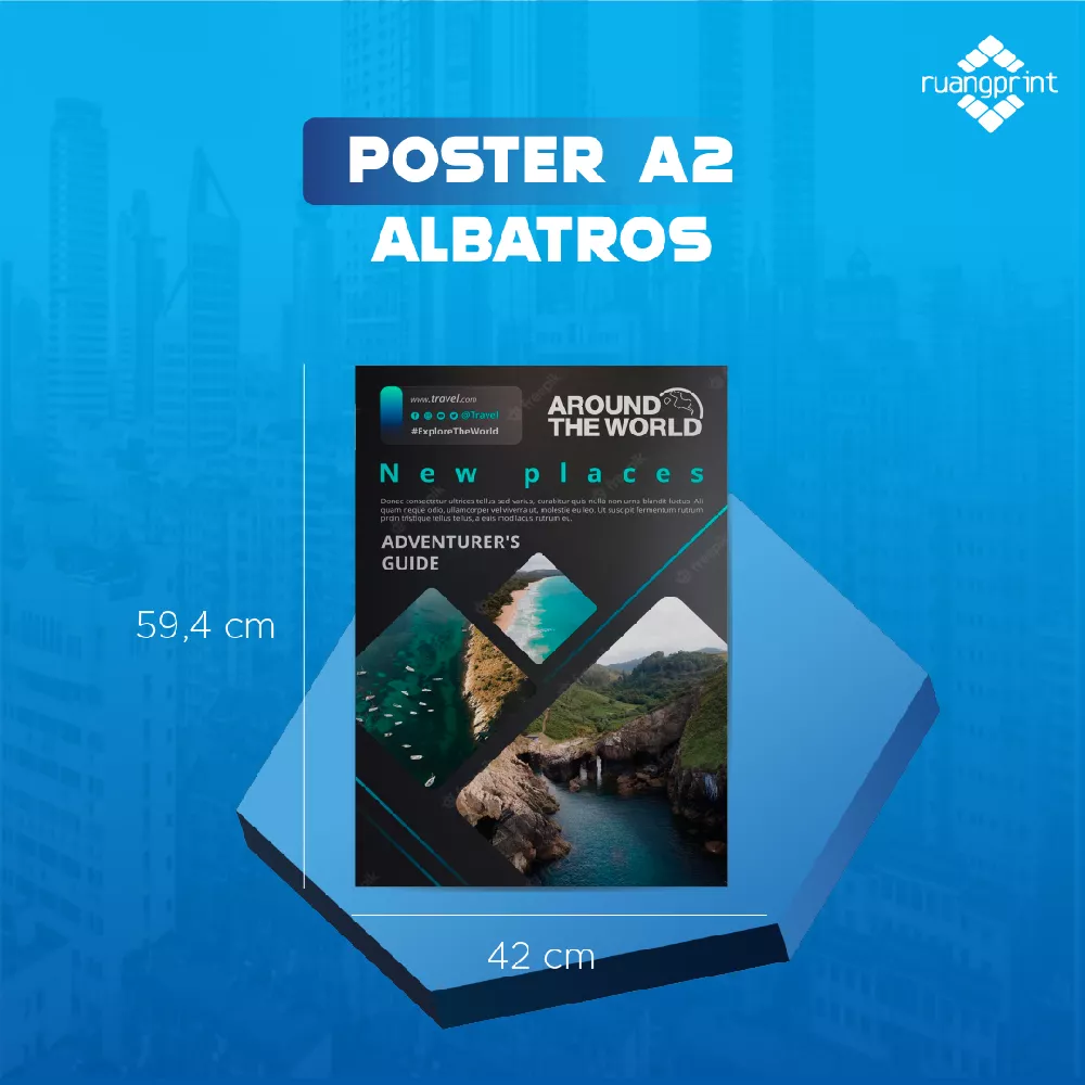 POSTER A2 Albatros