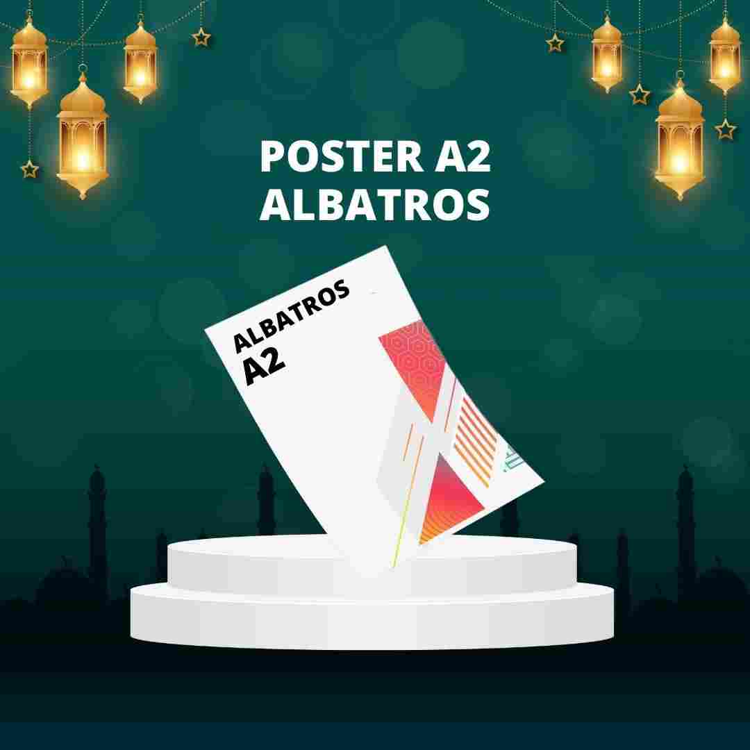 POSTER A2 Albatros