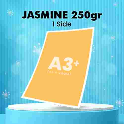 Jasmine 250gr (1 Side)